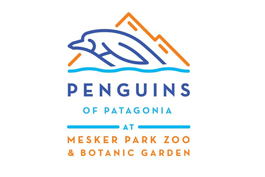 Penguins of Patagonia at Mesker Park Zoo